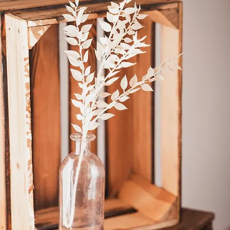 公寓 Benedikt & Wilhelmine *